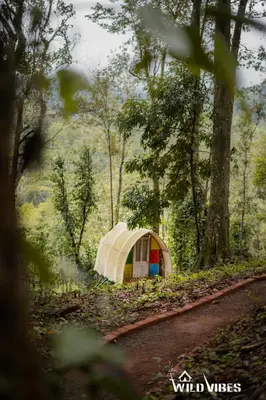 a small tent on the side of a road at Wildvibes India in Meppādi