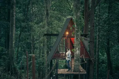 a person standing in a tree house in the forest at Wildvibes India in Meppādi
