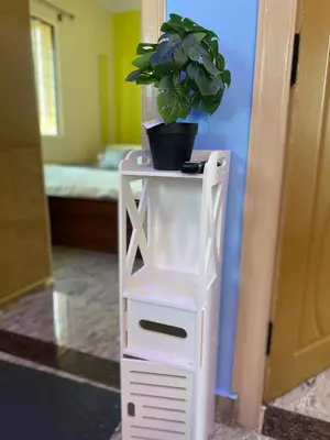 a plant on a white shelf with a potted plant on it at Mindful Rooftop Yoga Stay in Gokulam Bright, Airy Private Family Terrace Apartment in Mysore