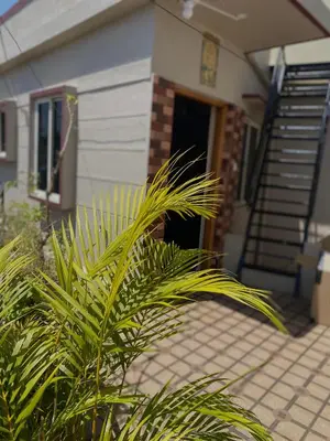 a plant in front of a house with a staircase at Mindful Rooftop Yoga Stay in Gokulam Bright, Airy Private Family Terrace Apartment in Mysore