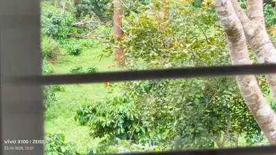 a view from a window of a garden with trees at Mathew's Haven, Wayanad - By Arattukulam Hospitality in Thirunelli