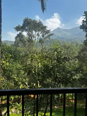 a balcony with a view of a forest and mountains at Vythiri Silent Leaf in Wayanad