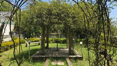 a garden with trees and a bench in the grass at Nakshatra individual villa in Ooty