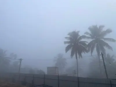 two palm trees and a fence in the fog at Poozhikuth Homestay in Sultan Bathery