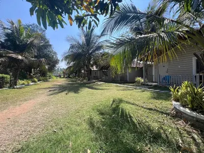 a yard with palm trees and a house at Bombe Resort Channapatna in Channapatna