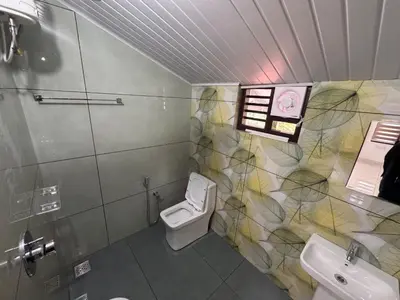 a bathroom with a toilet and a sink at Quiet Canopy homestay in Padinjarathara