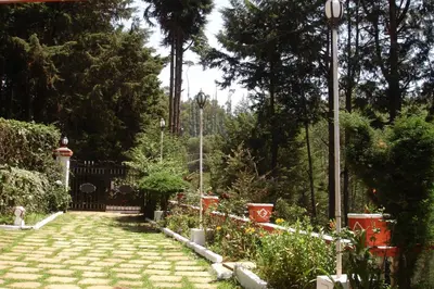 a garden with a stone pathway with flowers and trees at The Red House in Ooty
