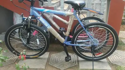 a blue bike is chained to a tree at The Red House in Ooty