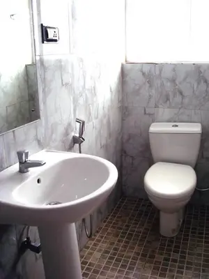 a bathroom with a white sink and a toilet at The Black Magic Cottage in Ooty