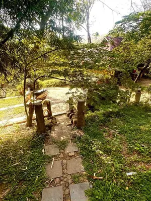 a stone path in the grass with a tree at Pugmarks Jungle Resort in Chekadi