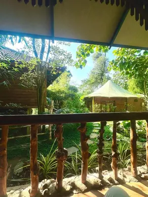 a view of a garden from a balcony at Pugmarks Jungle Resort in Chekadi