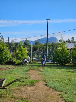 a man is flying a kite in a field at NATURE CASTLE -Traditional villa,Vattavada in Kottakamboor