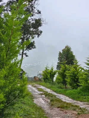 a dirt road with trees on the side at NATURE CASTLE -Traditional villa,Vattavada in Kottakamboor
