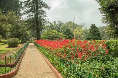 a garden with red flowers and a brick walkway at Fairy Glen in Coonoor