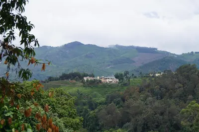 a view of a valley with mountains in the background at Fairy Glen in Coonoor