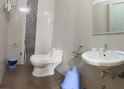 a bathroom with a toilet and a sink at Banyan Tree Comforts Mysore in Mysore