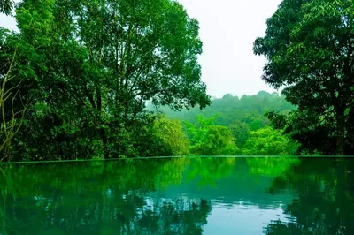 a large body of water with trees in the background at Wayanad Wild - A CGH Earth Experience in Vythiri