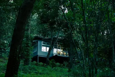 a tree house in the middle of the forest at Wayanad Wild - A CGH Earth Experience in Vythiri
