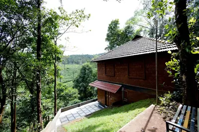 a wooden house with a swing in the forest at Green Garden Jasmin Cottage in Vayittiri
