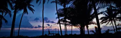 a group of palm trees on the beach at sunset at White Shell Beach House in Kannur