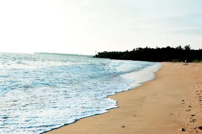 a beach with the ocean and trees in the background at KK Heritage in Kannur