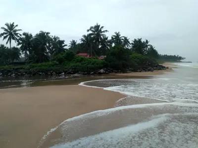 an empty beach with palm trees in the background at KK Heritage in Kannur