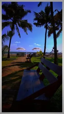 a park bench with palm trees and a view of the ocean at Veda5 Ayurveda Living Village in Trichūr