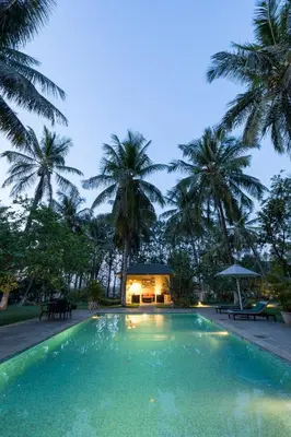 a swimming pool with palm trees and a house at The Mangifera in Bandipūr