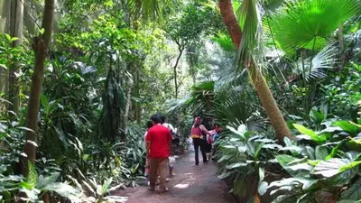 a group of people walking down a path in the jungle at Heights Farm Stay - Coffee Estate Stay in Madikeri