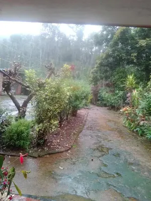 a dirt road in the rain next to a river at Hill side estate in Madikeri