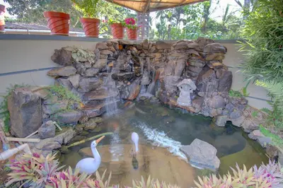 two swans swimming in a pond with a waterfall at Srinikethana Home Stay with Swimming Pool in Madikeri