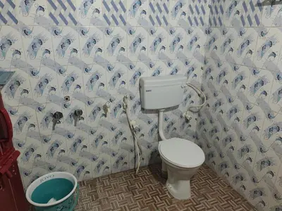 a bathroom with a toilet and a flock of birds on the wall at Green Hills Farm And Guest House in Masinagudi