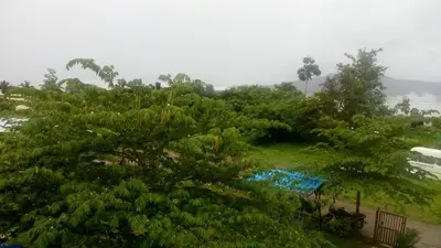 a view of a forest of trees and a river at Green Hills Farm And Guest House in Masinagudi