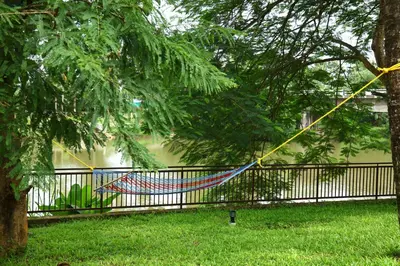 a colorful kite hanging from a tree next to a fence at Nadhiyoram River Retreat in Cochin