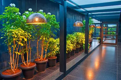 a row of potted plants in a building with lights at President Hotel in Mysore
