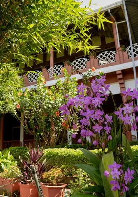 a bunch of flowers in pots in front of a building at The Nest Inn Resort in Masinagudi