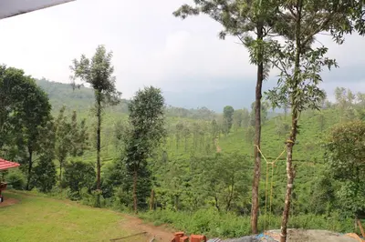 a view of a lush green hillside with trees at Green Garden Deluxe Room in Vayittiri