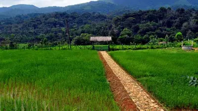 a field of green grass with a mountain in the background at KOOMANKOLLY RESORT in Thirunelli