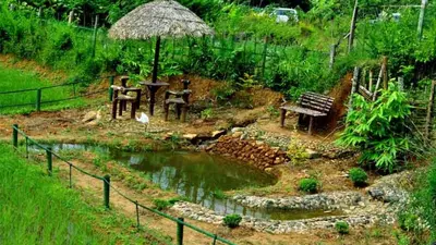 a garden with benches and an umbrella and a pond at KOOMANKOLLY RESORT in Thirunelli