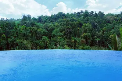 a large blue swimming pool in front of a forest at Vista Del Lago in Ambalavayal