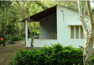 a white house in the middle of a forest at River Valley Resort in Masinagudi