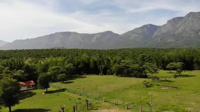 a field with trees and mountains in the background at River Valley Resort in Masinagudi