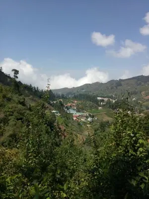 a view of a town on a hill with trees at Holidays and Celebrations in Kodaikānāl