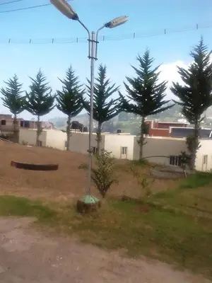 a street light in the middle of a field with trees at Holidays and Celebrations in Kodaikānāl