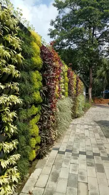 a hedge with colorful flowers on a sidewalk at Willow Heights in Athirappilly