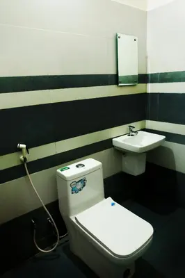 a bathroom with a toilet and a sink at Green Garden Lotus Villa in Kaniyāmbetta