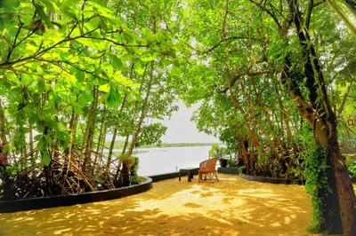 a bench in a park under a bunch of trees at Lakefront Beach Homes in Cherai Beach