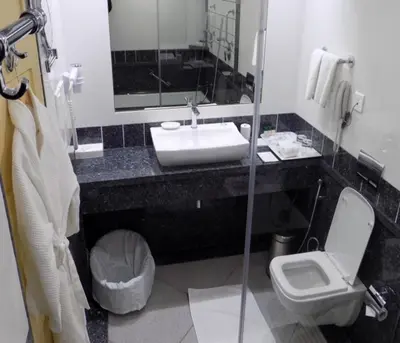 a bathroom with a sink and a toilet and a mirror at Fortune Resort Sullivan Court, Ooty - Member ITC Hotels' Group in Ooty