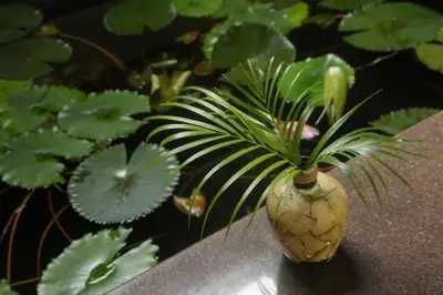 a vase with a plant in it next to some plants at Mi Casa Tu Casa Homestay in Cochin
