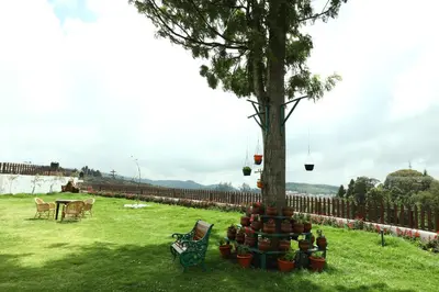 a tree with a bunch of pots next to a bench at 7 BHK Luxury Heritage Villa - Rock Ooty in Ooty
